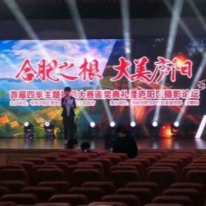 庐阳区政府